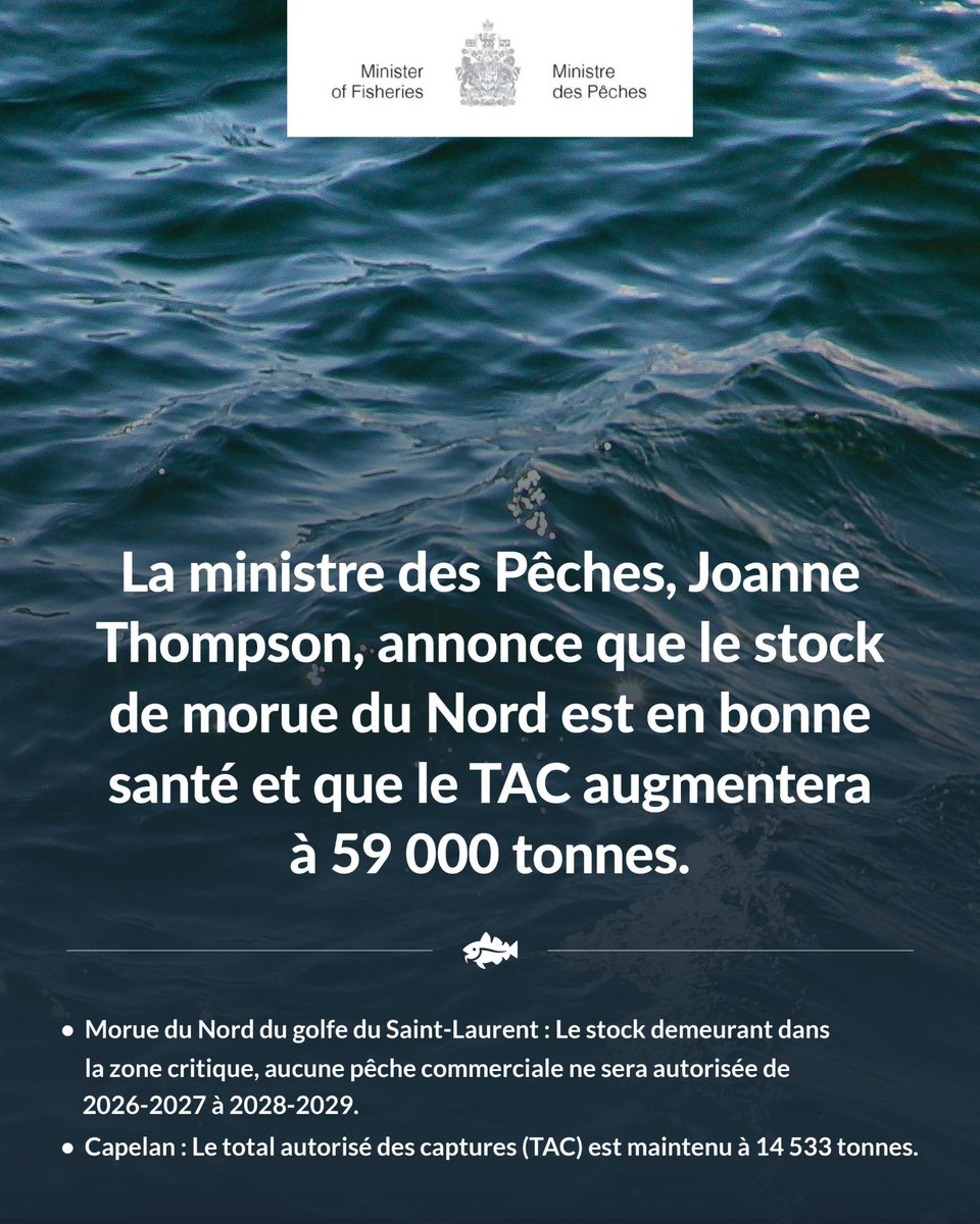 Joanne_NL's tweet photo. La morue du Nord se trouve dans la zone saine pour la première fois depuis le moratoire de 1992. Il s’agit d’un jalon historique après plus de trente ans, et il appartient aux pêcheurs et aux collectivités qui n’ont jamais abandonné la morue.

Infos : https://t.co/TbSSzfp8ir https://t.co/tzLoENYPDE