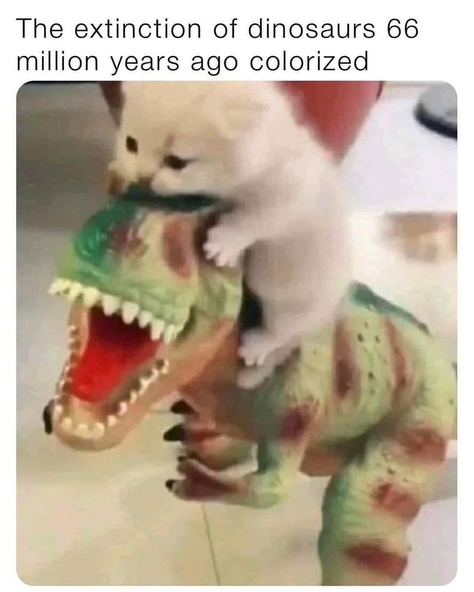 Catsillyness's tweet photo. This is canon btw https://t.co/XZJdZuoY02