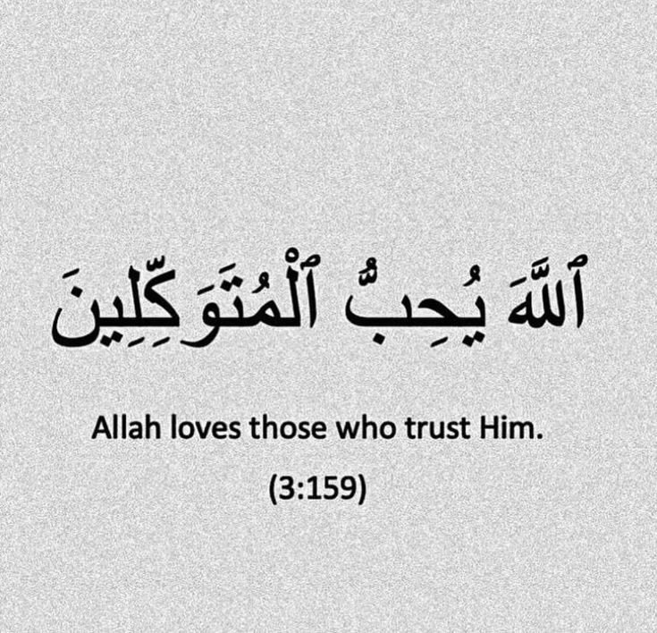 fariderh🤍⚘️ tweet media