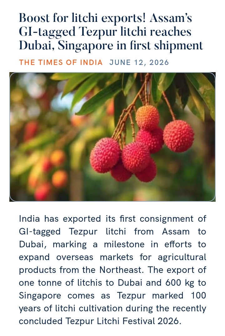 a_candour's tweet photo. Boost for litchi exports! Assam’s GI-tagged Tezpur litchi reaches Dubai, Singapore in first shipment
https://t.co/1IoFgYKzJn https://t.co/wNT2SMd4YU
