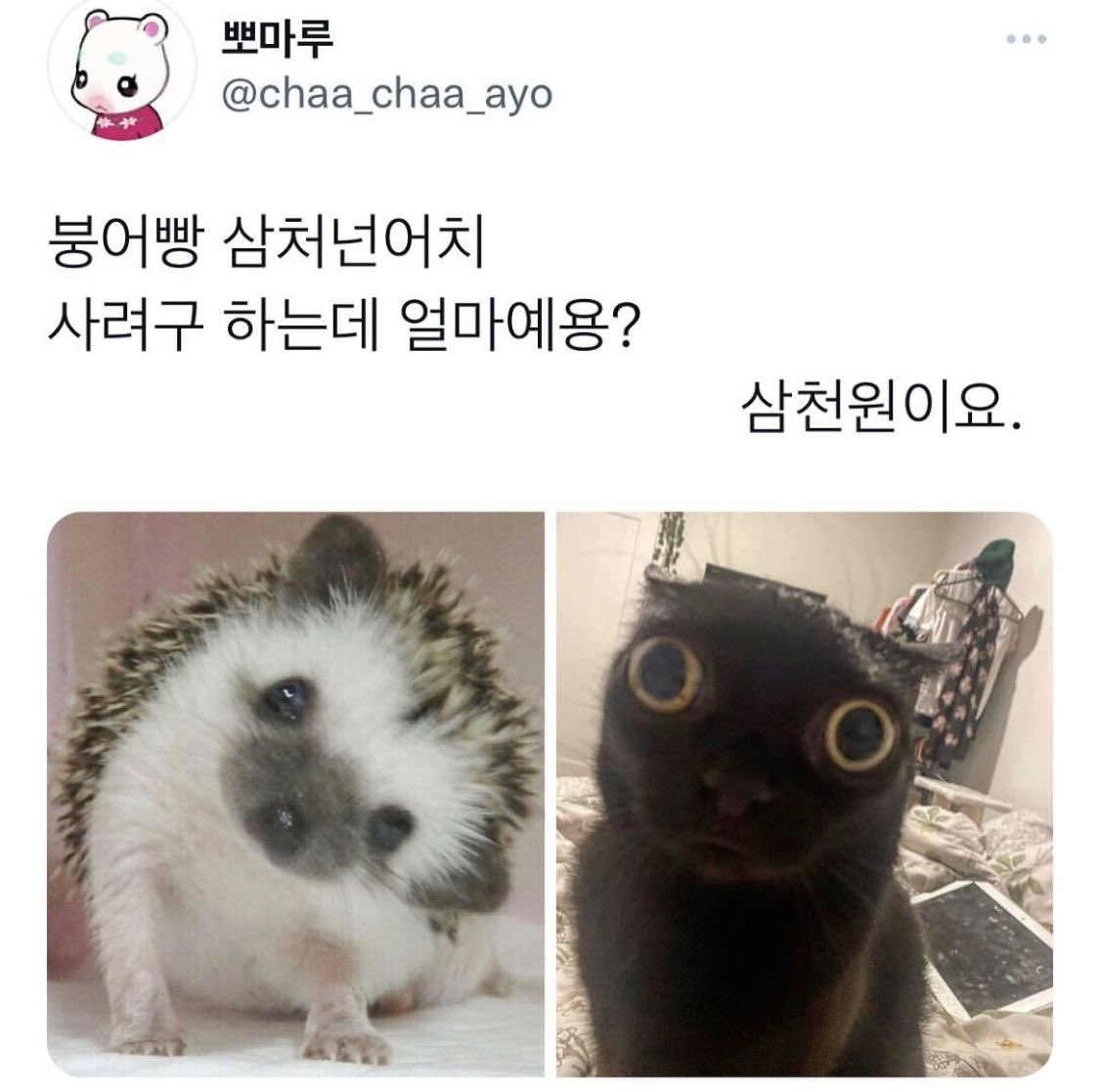 lovx11_very's tweet photo. https://t.co/kJmT8rFa3J