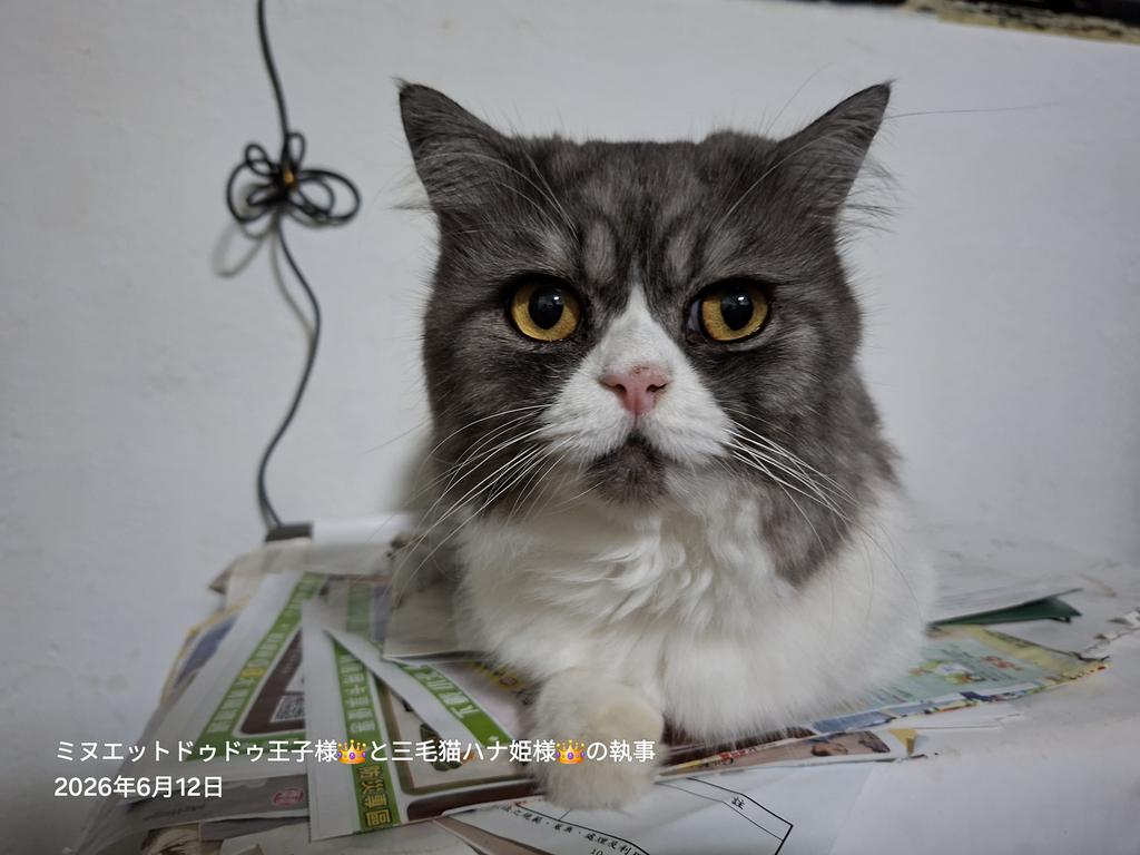 longleghoward's tweet photo. 王子様 👑 https://t.co/yUBQsMNMIR