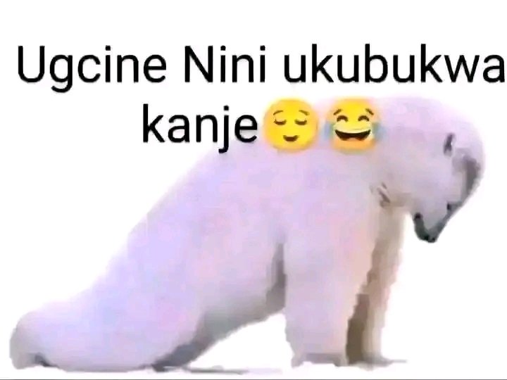 Nombu_Sodi's tweet photo. Angikaze ngabukwa https://t.co/RRPPY7EvZh