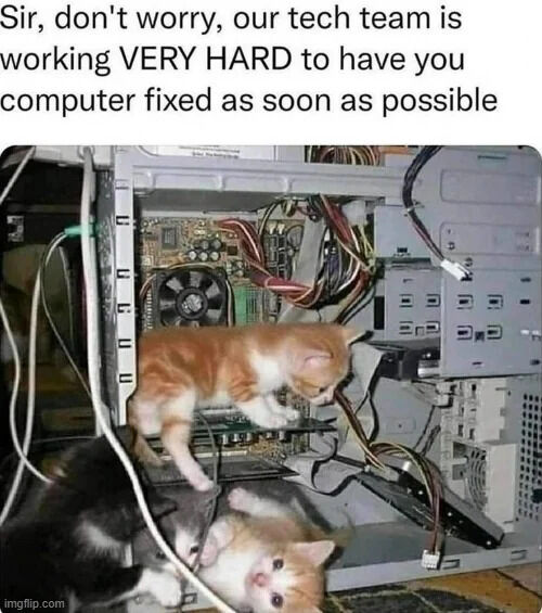 WholesomeMeme's tweet photo. https://t.co/ZGOnggdT85