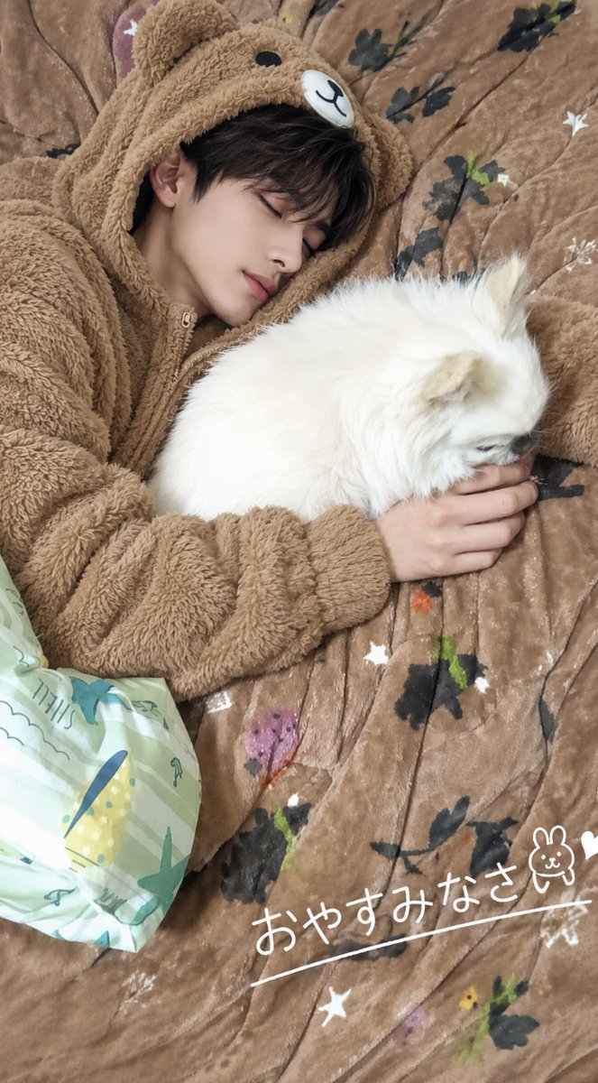chococochan2014's tweet photo. 今日もお疲れさまでした♪
週末もよろしくお願いします🥺
愛犬が眠ったtrèmoloさんの手を舐めてます🐶おやすみなさい🫶
#ブルバ100　#チワワ https://t.co/GdX5I3Aa8a