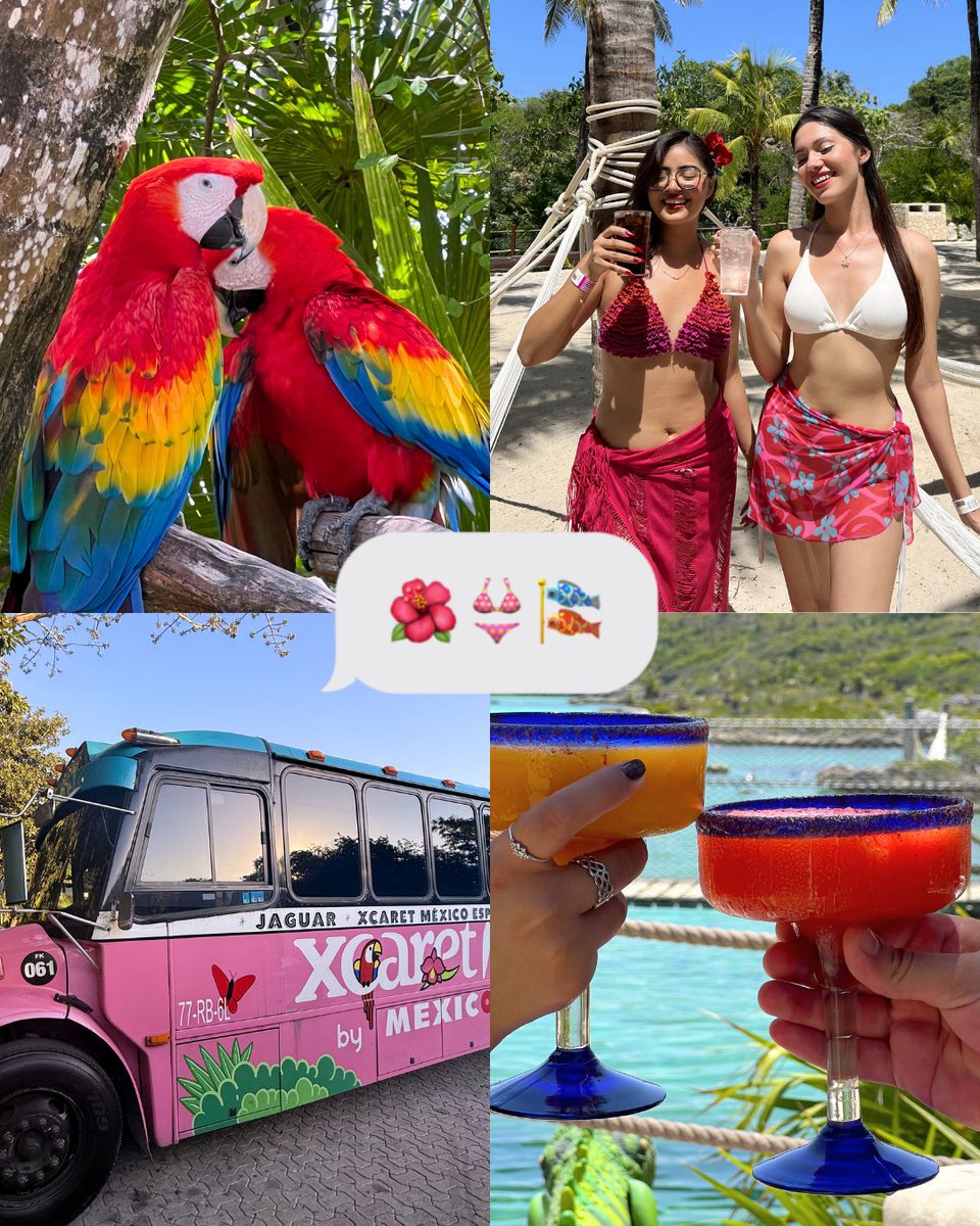 XelHaPark's tweet photo. Vibing all day, at all colors! 🌺🍹☀️🌿🐠 How does your day at with us looks like? https://t.co/gvETw90ocv