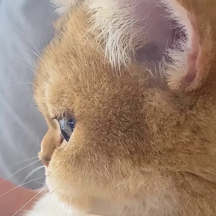 gemijuniii's tweet photo. ใครทิ้ว่าจั๊นกม จั๊นจะจับกิมหั้ยหมด ! 😼 https://t.co/d01YQdFwAU
