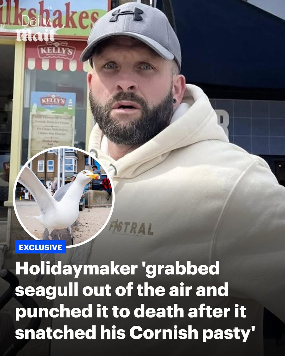 domdyer70's tweet photo. A holidaymaker has been accused of grabbing a seagull out of the air then punching it to death after it snatched his pasty.

Outraged locals posted pictures of the man claiming he killed the innocent seagull in St Ives, Cornwall yesterday in revenge for trying to steal his savoury treat, as police urged anybody with CCTV footage to come forward.

Rosie Reynolds was working at a boat tour stall when the man attacked the bird right in front of her.
She said: 'He was walking with his wife and child and the gull just swooped down and stole his pasty.
'He just grabbed it and had its head in his hand and punched it hard in the chest. It was sort of held in his arm so it couldn't escape.
'After three or four punches the bird went limp then he threw it to the ground where it just lay there, it was still alive but its chest cavity was caved in and I think it just went off to die.

'I went over and berated him as did some other people, I said "you can't do that, its illegal" and his wife said the same, I think she was shocked, I asked if he'd do the same to a child who stole an ice cream but he just called me a cow and told me to f*** off.

I'm just so shocked, tourists sometimes kick out at the seagulls but this is the worst I've ever seen.
'I recognised his picture straight away on Facebook, I know several people have reported him to police and I hope they can deal with him properly.'
A takeaway owner who didn’t want to be named served the man just before he attacked the gull said it actually snatched a fish burger.

He said: 'I just remember the guy was really rude, his wife seemed lovely but he was just demanding and said he needed to drive back to Yorkshire as soon as he could.'
Another witness Pauly Ford posted on Facebook: 'Just witnessed a 'man' grab a seagull that had knocked the pasty out of his hand and punched the bird twice really, really hard. This was at the harbour. 
'The bird wasn't able to fly away and a lady at the sea island boat trips picked it up to look after, sadly the bird had a big hole in its chest so will likely not survive. 
'Not sure what to do about this, we have a picture of the guy after killing a seagull because he's an idiot is there anything we can do. Surely the police will want to know.'