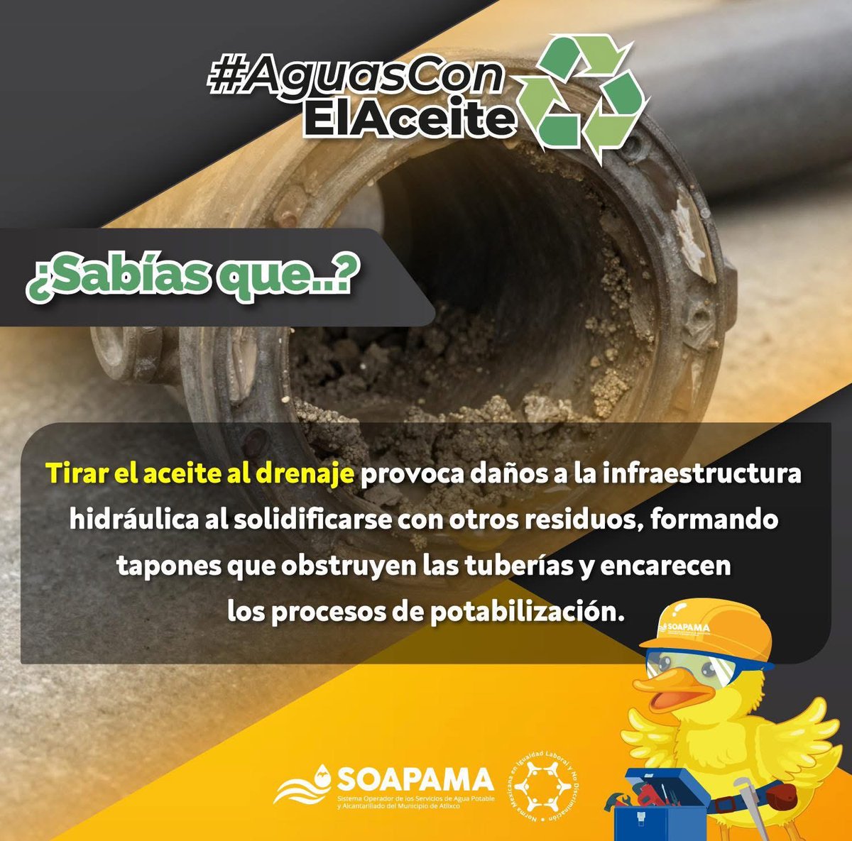 SOAPAMA's tweet photo. #AguasConElAceite💛♻️, no lo tires al drenaje, mejor recoléctalo en un recipiente con tapa para su reciclaje. 
Juntas y juntos #HagamosComunidad. https://t.co/Xmp3Ite1on