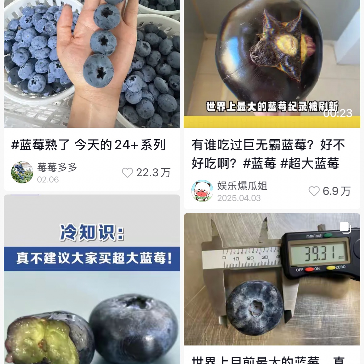 limzoeng952's tweet photo. @hey_sucheol 我查了下好像是真的😳 但是都说不建议吃 大蓝莓特别特别酸 https://t.co/xWOOfFHdpZ