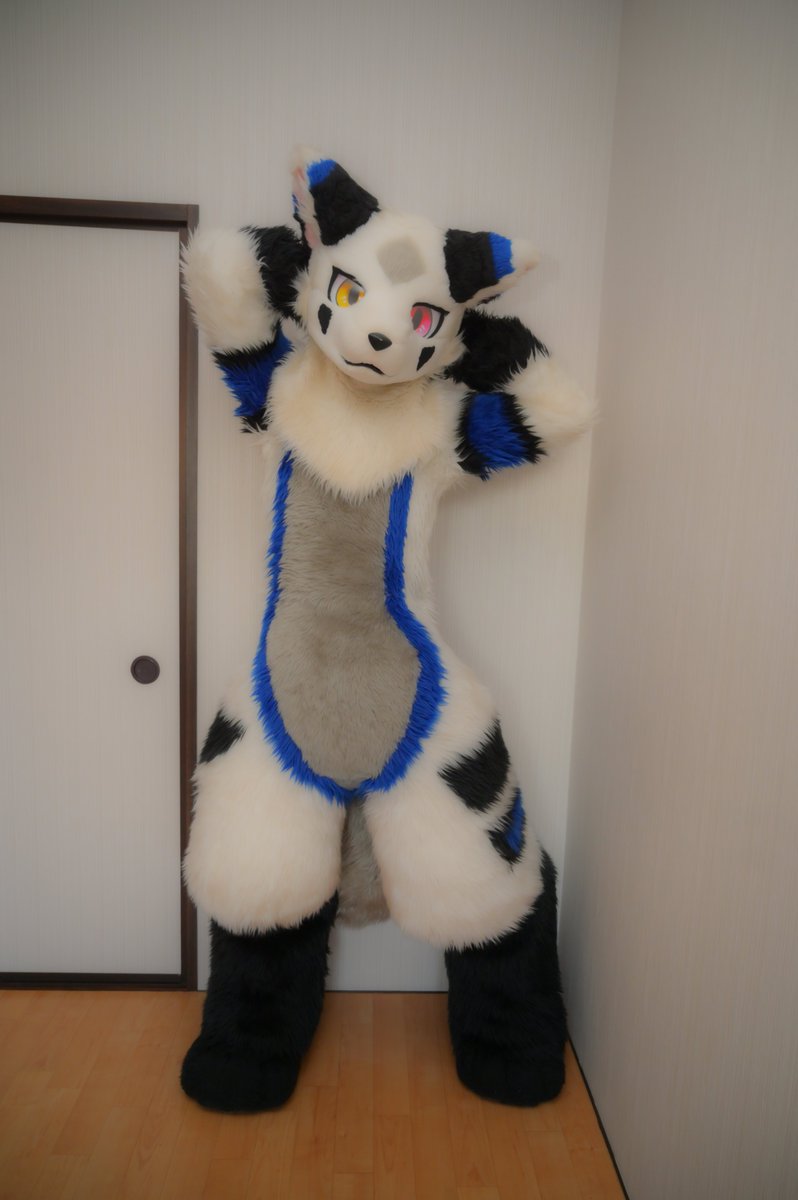 siroka_885's tweet photo. スタイル褒めて！

#FursuitFriday https://t.co/hfZoKedpdb