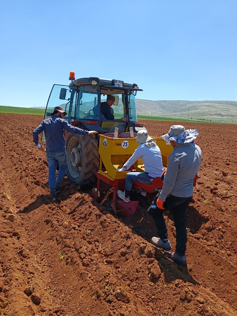 PatatesArsEnst's tweet photo. Özel sektör  "Adaptasyon Denemeleri" kapsamında Sivas/Kangal/Irmaç Köyü lokasyonunun dikimleri gerçekleştirildi...🚜🥔🥔🥔
#ar_ge
#yerlivemilli https://t.co/eDuYScFsj0