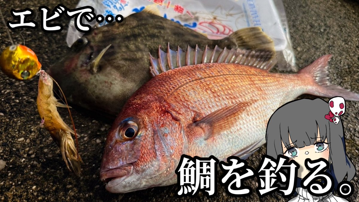 genkai37564's tweet photo. 大変遅くなりました！！！
動画出したーよ！！🔥
この時期、堤防から手軽に鯛が狙える釣りを発見したので絶対みちぇ！！🎣🔥

ワクワクの次回予告もあるよ！！！

https://t.co/WVVm9DGISi https://t.co/33GnHyLAP0