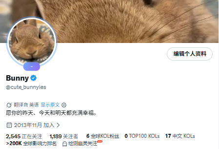 Bunny tweet media