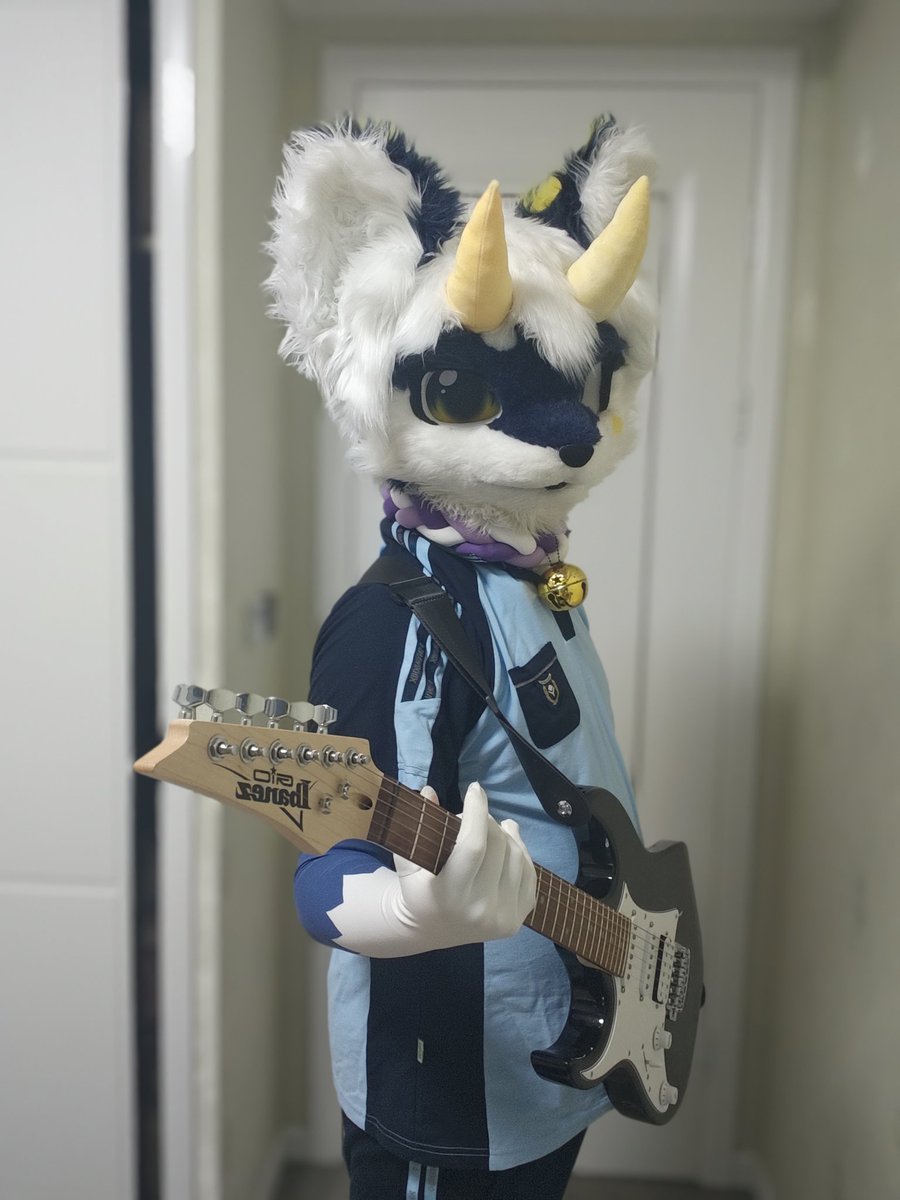 RennautFox's tweet photo. 听说兽太会��琴（？） https://t.co/EBjxRALSu6