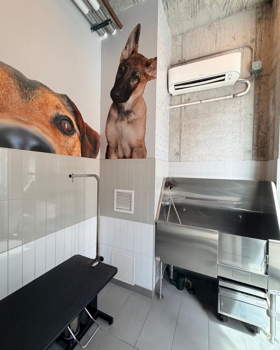 ParklineApts's tweet photo. The face your dog makes when they hear the word โbath.โ ๐๐
Good thing Parklineโs dog spa turns cleanup time into a first-class experience.
#ParklineChicago #DogSpa #ChicagoDogs #PetFriendlyApartments https://t.co/PEZI35pAfd