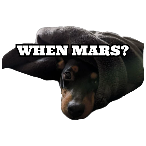 chillonton's tweet photo. @elonmusk When Mars, #SpaceX ? https://t.co/gMq8y0Ttky