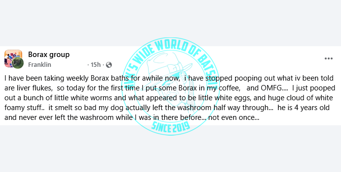 AVK | Wide World of Batshit tweet media