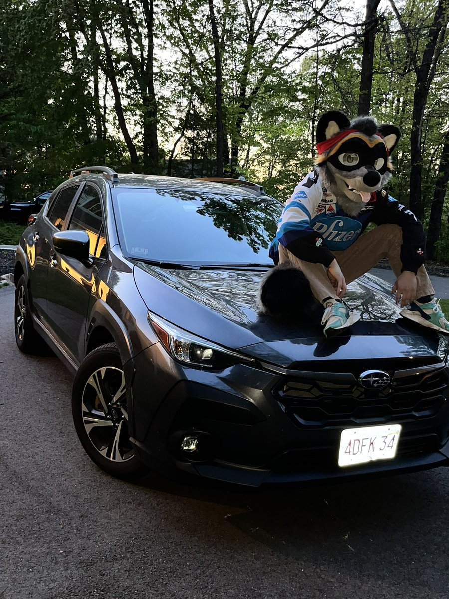 Mahoneythefird's tweet photo. @fritzraccoon 🙋‍♂️ https://t.co/gexWoZYj6T