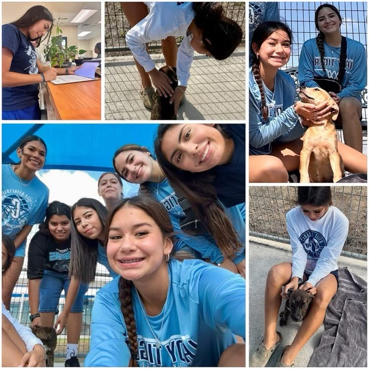 MaryCarrollHigh's tweet photo. 🐅💙🧡 50 Reasons Why Tiger Pride Is Rising 💙🧡🐅

⭐ Reason #42: Where You Actually Belong

At Carroll, there’s a place for everyone—and once you find it, you’ll wonder how you ever belonged anywhere else. 💯💗 

#CarrollTigers #TigersOnTheRise #TPND https://t.co/RTZ5JgOyON