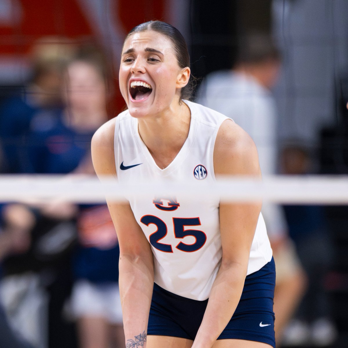 Auburn Volleyball tweet media