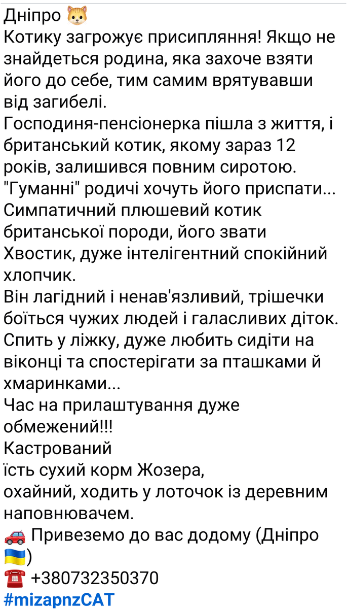 Bylbyleva's tweet photo. https://t.co/9njUenlAfm