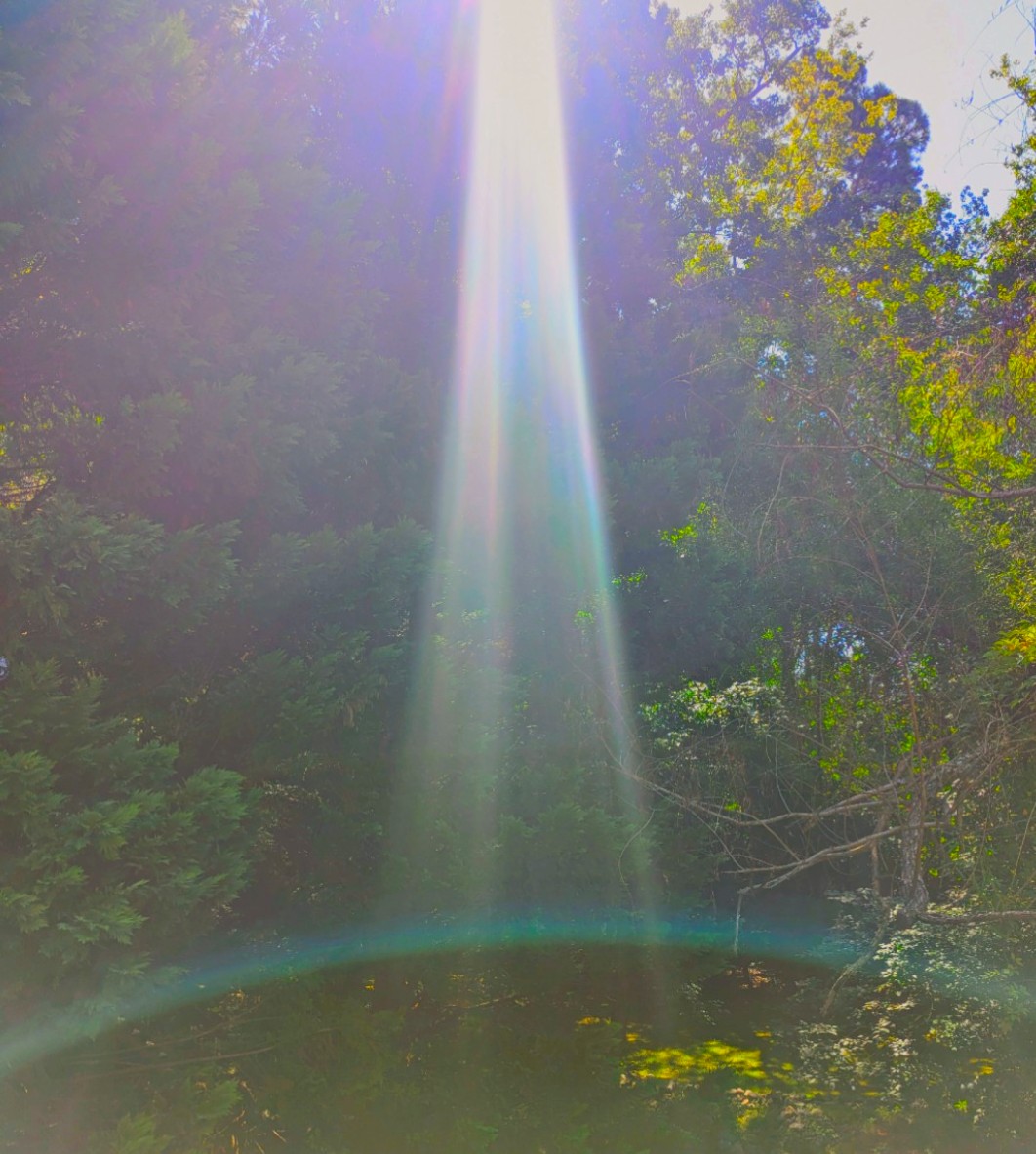 krystallineaura's tweet photo. Pineal gland activations on the third eye this weekend bringing the indigo wave of awakenings which bring truth and pave the way for justice. As seeing through all illusions will give many aha moments. Ear ringing, blurred vision, sleepiness and increased visuals for meditations can all be experienced now. A powerful gateway to align the heart and mind in unity! As a lack of unity between is how narcissism is  programmed and conditioned on humanity for power of control. Power over others is sorcery and power within is empower and freedom. Thankfully light will counter and balance many distortions and inversions! Allow yourself balance as the right and left hemispheres of the brain are equalizing and centering in the now will help to not experience dizziness! Enjoy the light activations now through the gateway of the sun!!!