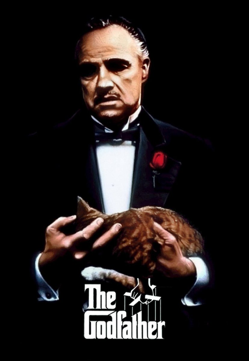 Chantsie93's tweet photo. #NowWatching #FirstWatch
The Godfather (1972) https://t.co/Cj0PSkJSYw