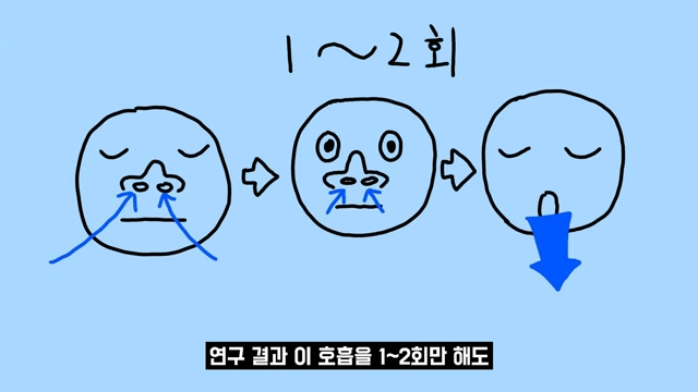 나중에볼정보 tweet media