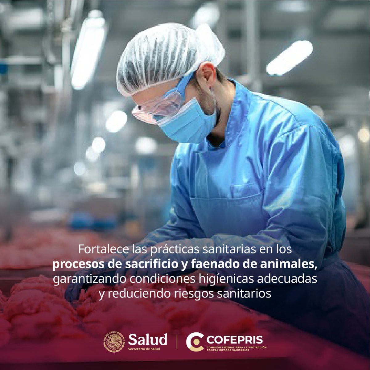 coprisjal's tweet photo. La #Cofepris a través de las #VisitasdeVerificación, vigila que los procesos en el sacrificio de animales destinados al consumo humano, cumplan con la normativa vigente para evitar riesgos a la salud de la   población. Consulta guía 👉https://t.co/pkSniJFtcp #CofeprisCuidaTuSalud https://t.co/Mo941pxWKk