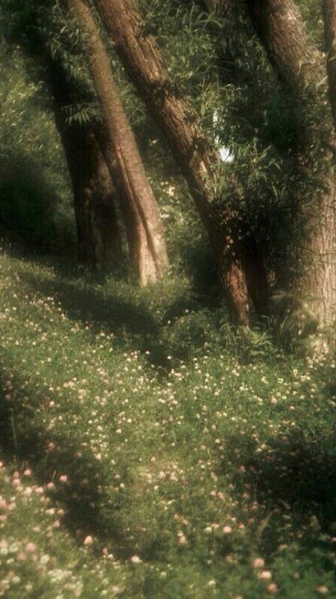 aestheticpost's tweet photo. The kind of place where time slows down and legends feel close enough to touch. https://t.co/mYP0D06QTM