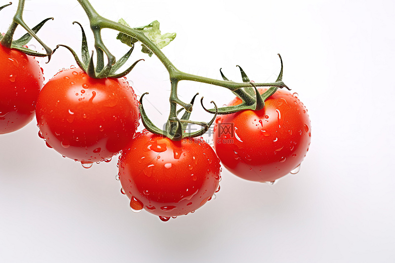 oribekelvinewe1's tweet photo. This sweet, plump cherry tomato is a game-changer for salads! Juicy, low-acid, and packed with natural flavor—no need for extra dressing. A must-add to your summer veggie haul!， https://t.co/fEtTYnsizn