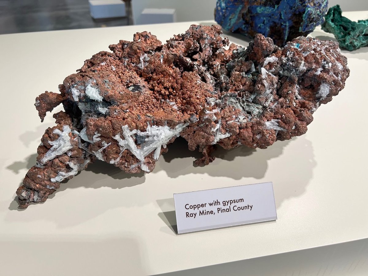 MMNREMuseum's tweet photo. Copper is Arizona’s most iconic mineral. It is the driver of our robust mining economy, one of the 5 Cs, and the official AZ State Metal. This specimen of native copper with gypsum is from the Ray Mine, Pinal Co., AZ. https://t.co/Grzq6MfiCb