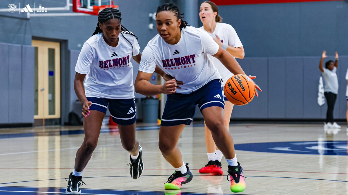 BelmontWBB's tweet photo. A full week of work 💪

#ItsBruinTime | #Splashville https://t.co/jl6WvHIBf4