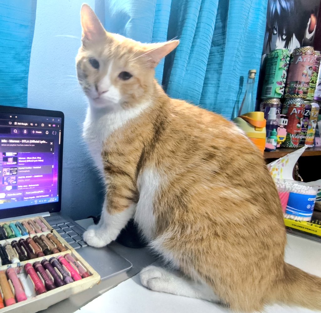 __Vriel__'s tweet photo. Tried scrapbooking for the first time 
Ft. my trusty helper 😸💕

(Inspired by a crayon stained napkin) 💀 https://t.co/c39b6kZAHg