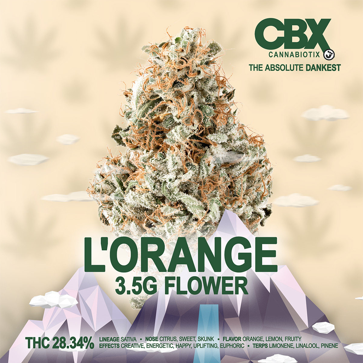 3TreesDelivery's tweet photo. 🍊⚡ L'Orange by CBX is bursting with bright citrus flavor and energetic sativa effects that keep the day moving. Big orange terps and uplifting vibes make this one hard to forget. Add some sunshine to your doorstep. 🚚🔥
#ThreeTreesDelivery #Cannabiotix https://t.co/bishp9yp2I