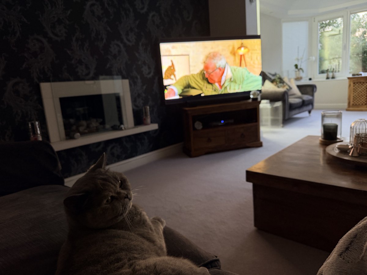 MisterShinto's tweet photo. I like that Jeremy Clarkson man! https://t.co/flomAwxjz6