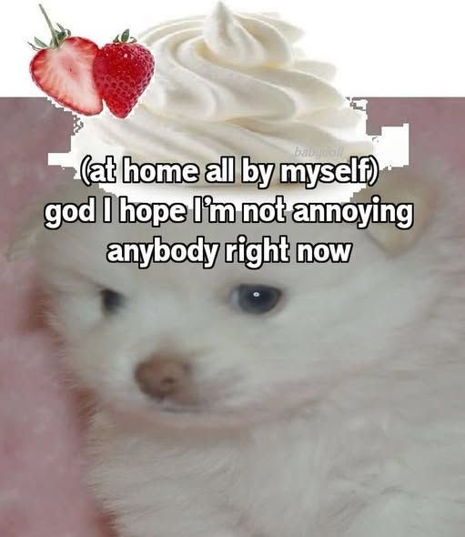 ADHD Memes tweet media
