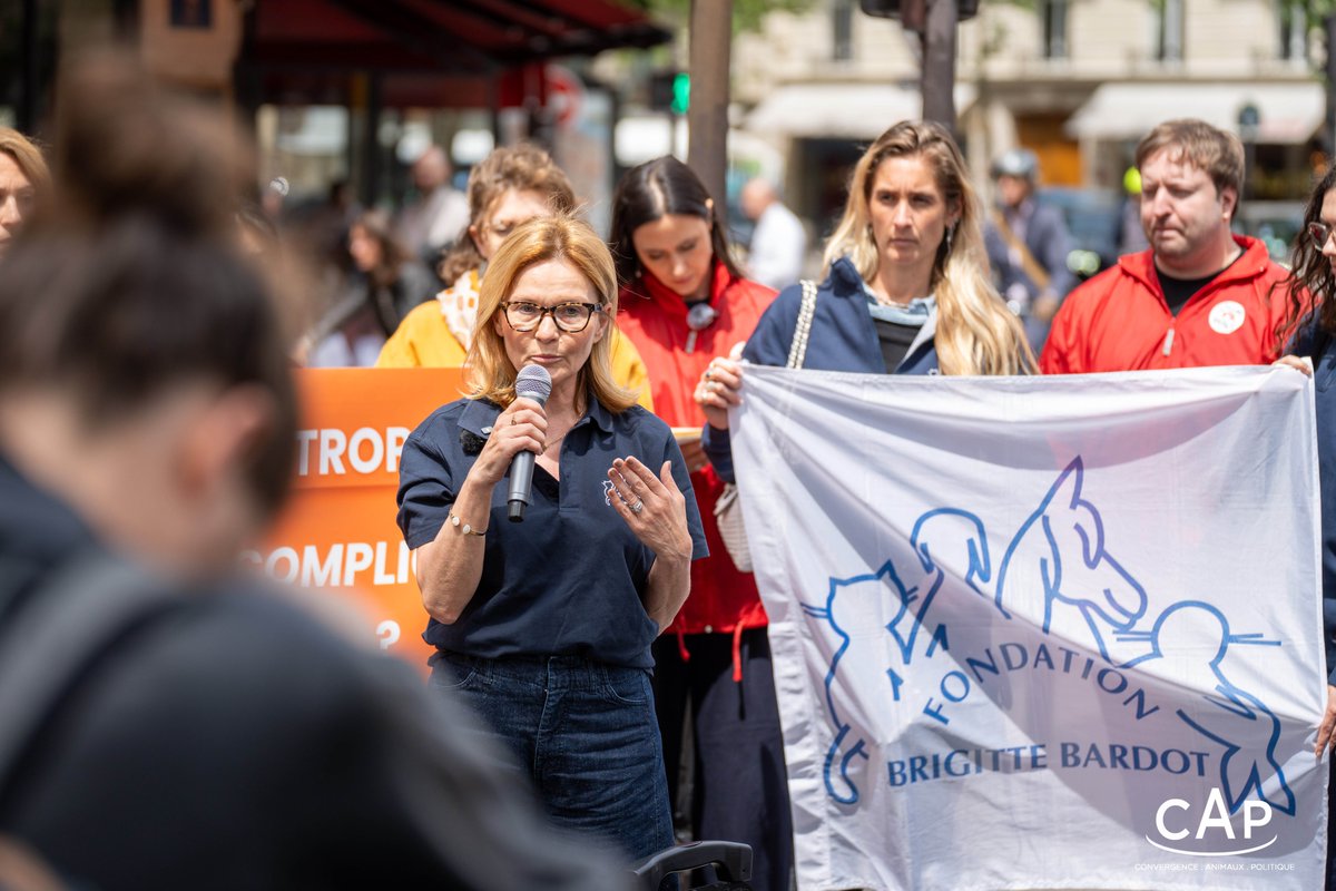 FBB_Officiel's tweet photo. 🐘 Chasse aux trophées
La mobilisation porte ses fruits!

Hier après-midi, la Fondation Brigitte Bardot était présente devant le ministère de la Transition Écologique aux côtés d'autres organisations de protection animale pour interpeller le ministre @MathieuMlefevre. Cette action commune a permis de rencontrer “au pied levé” son cabinet afin d'échanger sur notre requête.

Avec cette coalition d'ONG, nous lui demandons d'interdire l'importation de trophées de chasse d'espèces menacées. Il y a un consensus politique fort au sein du Parlement, qui transcende les clivages politiques. Le Gouvernement lui-même a reconnu en mars dernier la nécessité d'agir.

👉 Les parlementaires @sandraregol et Yannick Jadot, Adriana Oancea Negro, directrice des affaires publiques de la FBB, ainsi que plusieurs ONG ont pris la parole pour porter cette demande.

Au cours de la rencontre qui a suivi, l'équipe du ministre a reconnu la complexité d'obtenir d'ici la fin du quinquennat le passage d'une loi sur le sujet, mais a affirmé la volonté du ministère d'étudier sérieusement la mise en œuvre par voie réglementaire. C'est précisément ce que demandait la tribune parue cette semaine dans Reporterre, co-signée par 50 parlementaires. La France l'a déjà fait en 2015 pour les lions. La voie réglementaire existe. Il ne manque qu'une décision politique.

📅 Rendez-vous est pris le 18 juin prochain pour connaître la décision du ministère de l'Écologie.

La FBB tient à remercier chaleureusement @humaneworldorg et @CAPpolitique pour l’organisation et la coordination !

Photos : © fairshot photo