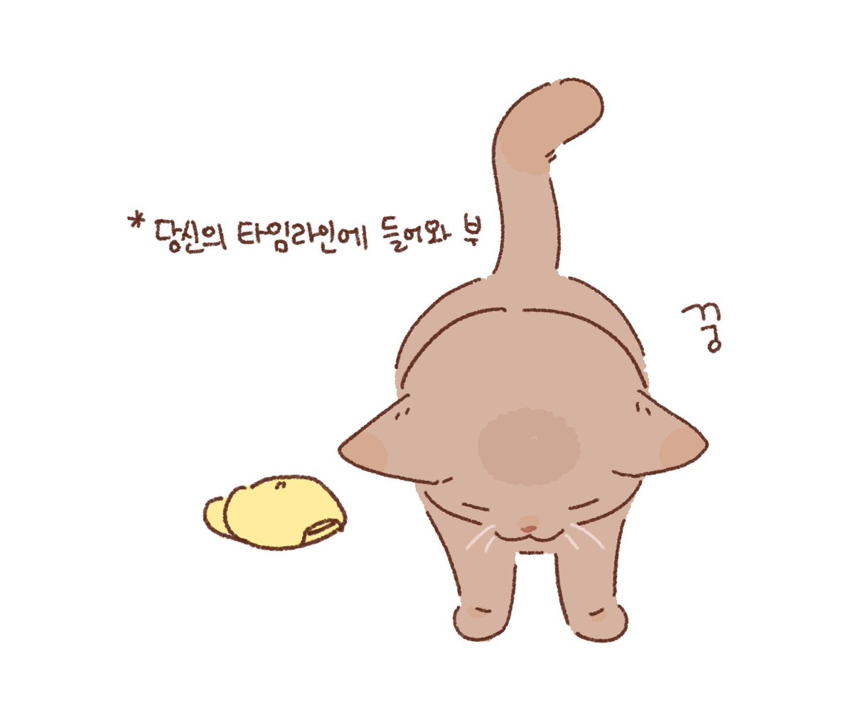 마 tweet media