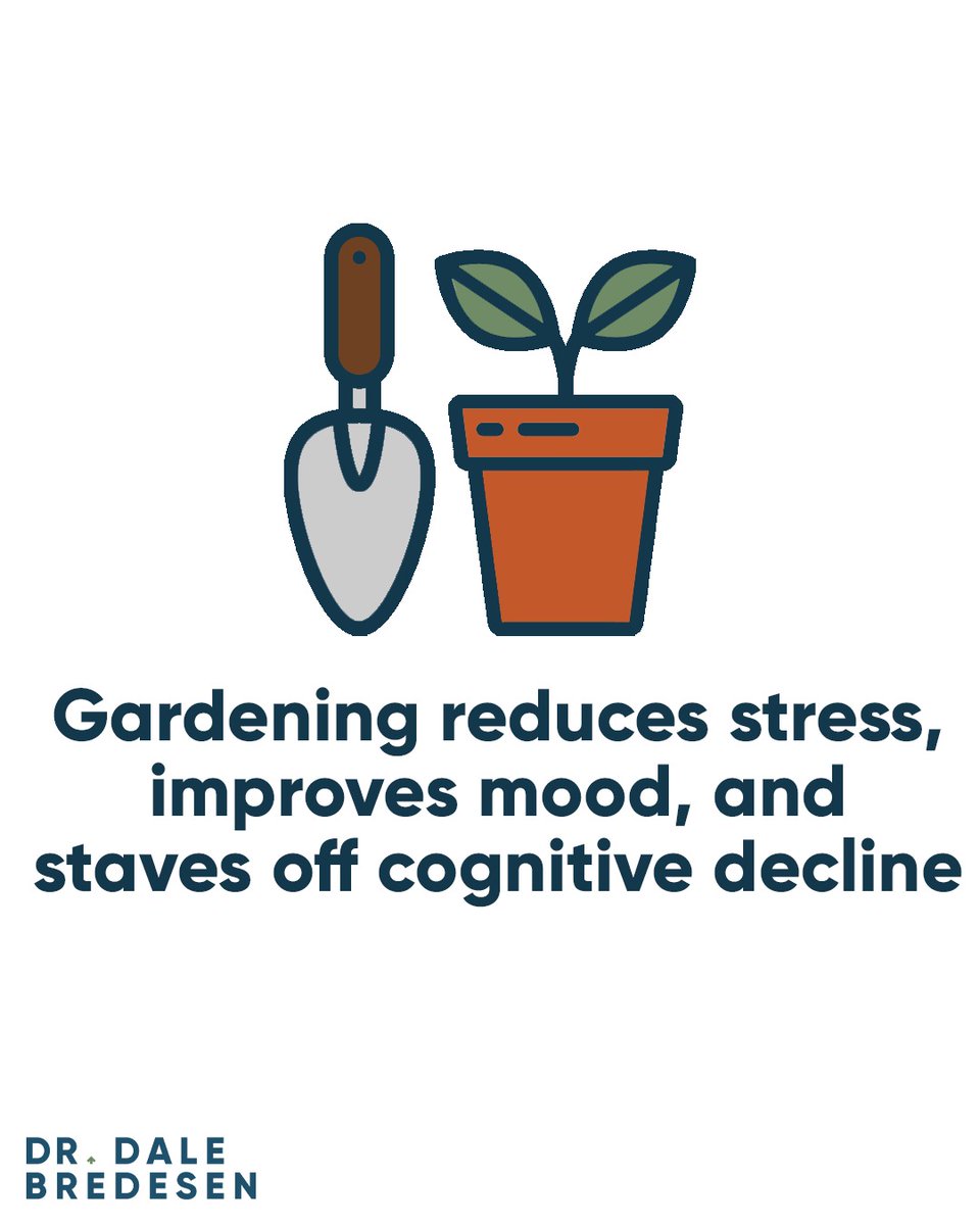 DrDaleBredesen's tweet photo. Gardening projects are becoming a popular intervention for those with dementia and other neurodegenerative diseases. Socialization, exercise, stress relief, and time outdoors are all brain-building activities. https://t.co/BGE7p7NUGF https://t.co/E2pRw3E9na