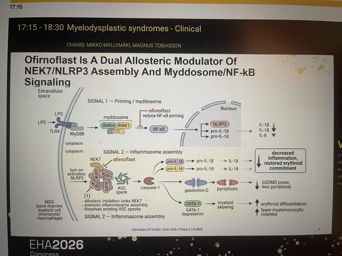 AlkaliDr's tweet photo. #ofirnoflast in LR-MDS shows improvement in Hg PLT and ANC. #Eha2026 https://t.co/uWxcOX9Wpd