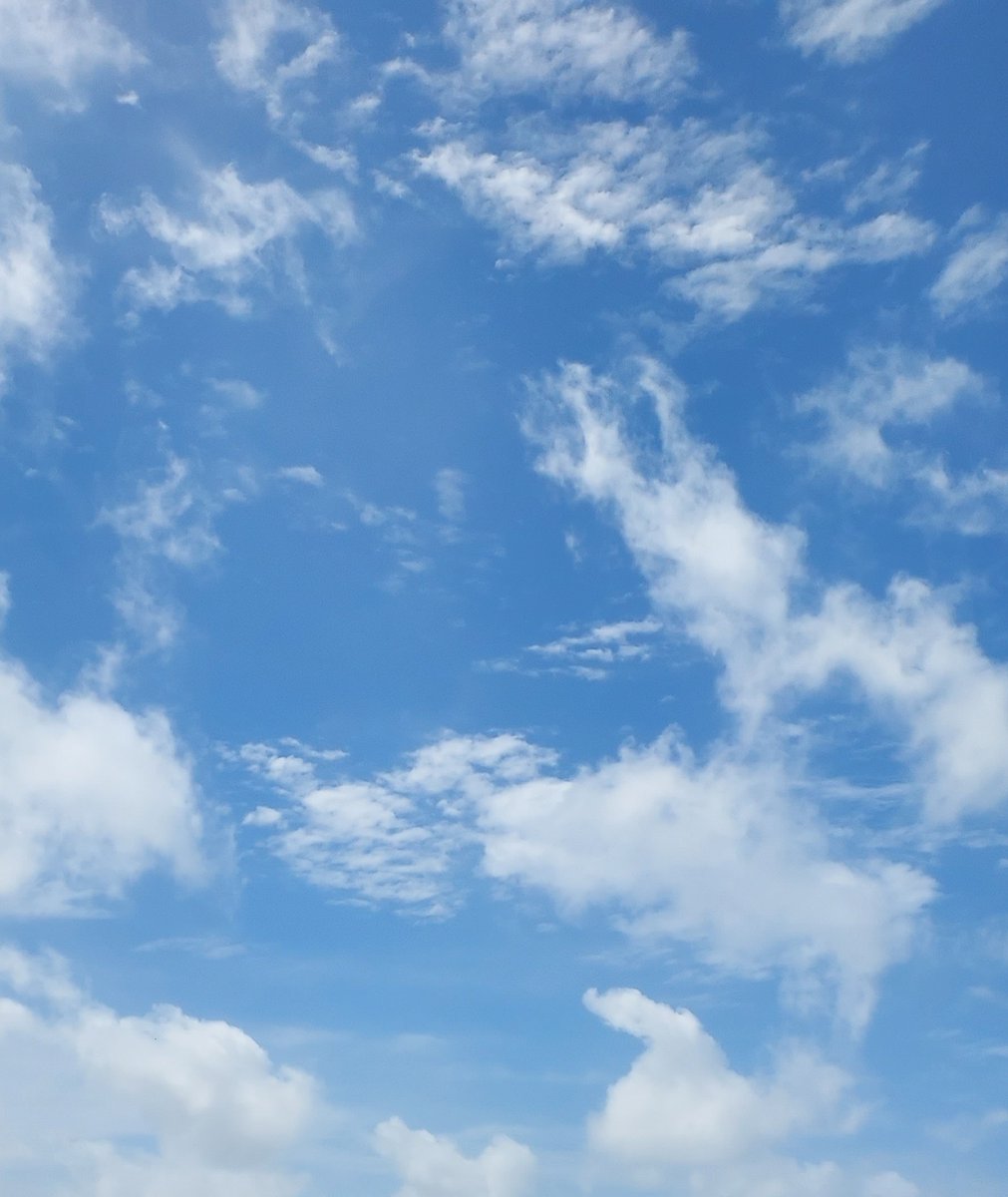 haytkir1's tweet photo. Clouds  

Fluffy cotton balls, the sheep in the sky graze the blue grass. 
When the wind blows they migrate to new fields. 
When the storms come they dance, jump, and hop in joy. 
Until tired and sleepy they return to the oceans of their sleep.

#poetry #poem #clouds https://t.co/nbHGyLKFB8