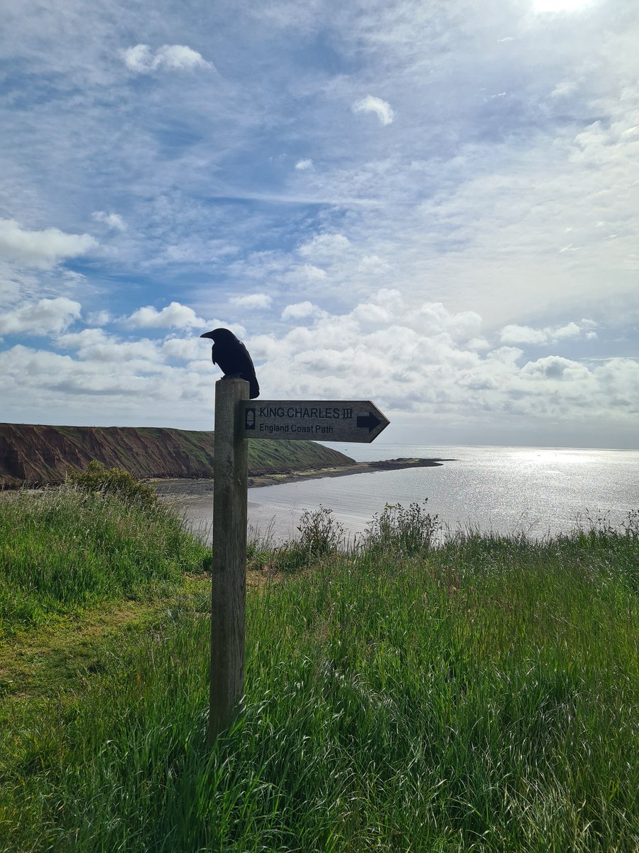 jelliott636's tweet photo. Sad to leave such a beautiful, peaceful place. I'll be back, walking boot on, dog by my side, happy in my own space #filey #fileybrigg #poppyholiday https://t.co/dBhdNYX7xn