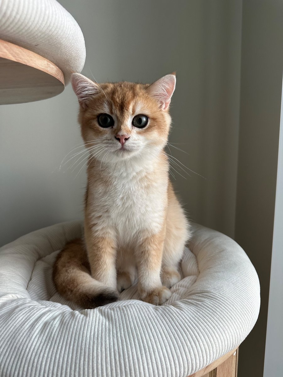 droidrings's tweet photo. Enjoy this pic of my son https://t.co/G43jv8s5aC