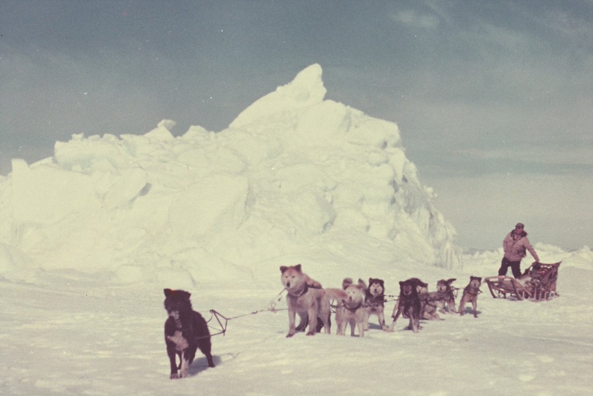 carlconte's tweet photo. Sieh dir diese Pinnwand an, die ich bei Pinterest erstellt habe!
https://t.co/t3enDWmJUf via @pinterest . #Alaska ein rauen Land voller #Abenteuer, #Mythen und #Grenzerfahrungen. Dazu das Buch von #Cropp: "Rückkehr nach #Alaska". https://t.co/hcxaXptuMU