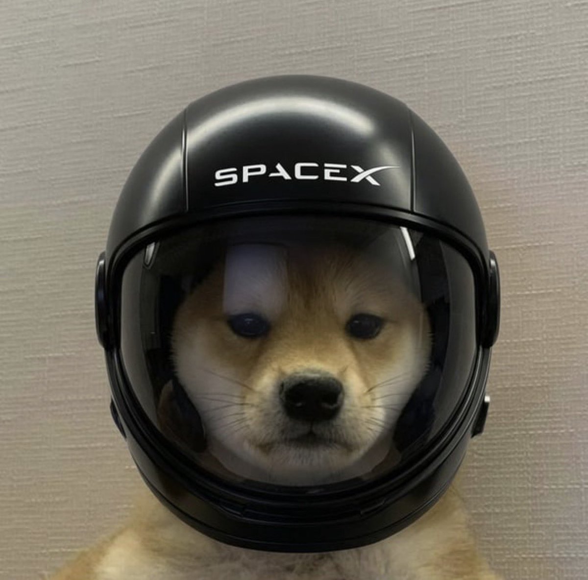 kenAbz's tweet photo. @DuGsApp @SpaceX G32zbVghTzcZmjkz6MT1QkFVbGxngX15Z4XXAEjypump https://t.co/MxefLIJG0n
