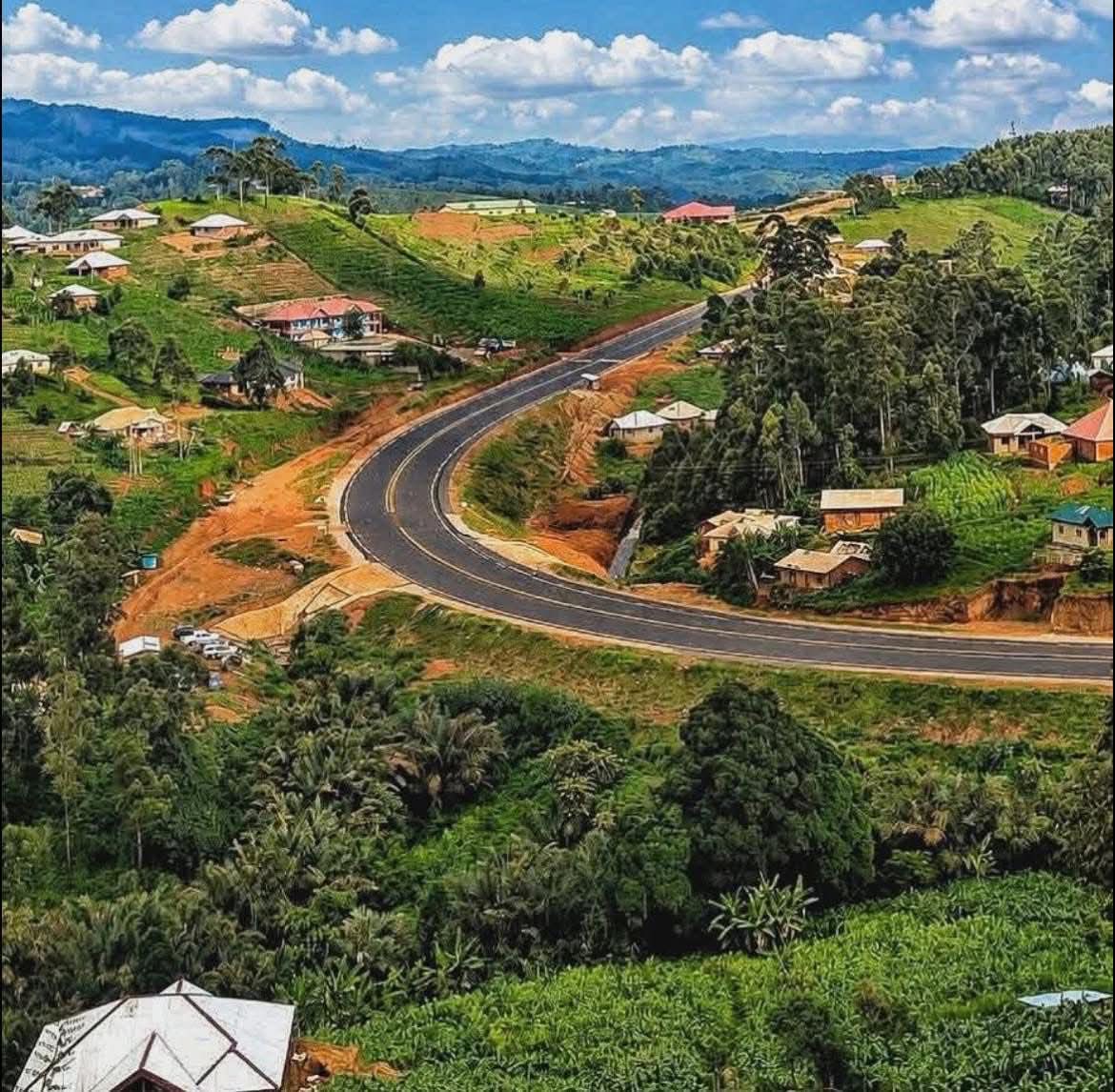 TheCameroonianZ's tweet photo. 📍Section Ndu-Nkambe

*Nationale 11, régional du Nord-Ouest #Cameroon https://t.co/aln2zytF55