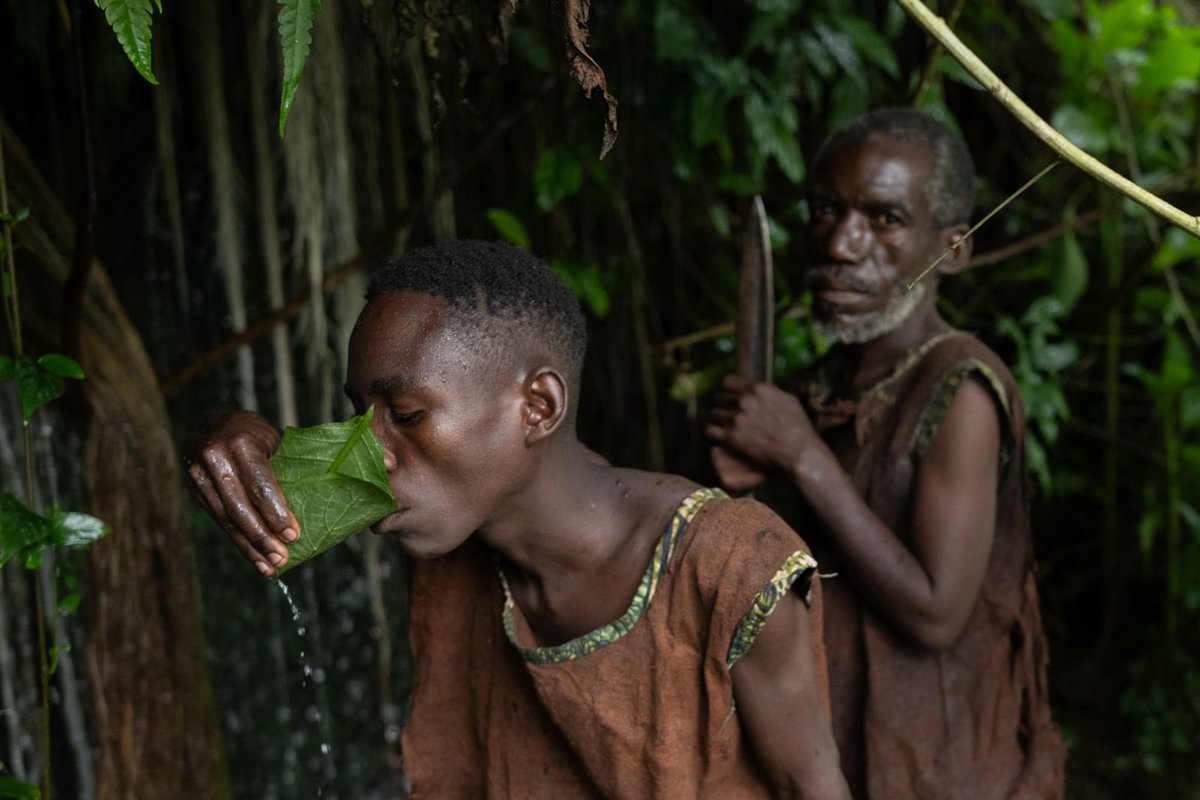 kukirizajoshua5's tweet photo. The Batwa, once known as “Keepers of the Forest,” carry a powerful legacy of resilience and tradition. From survival skills to forest wisdom passed through generations, their story reflects both change and cultural preservation. #ExploreUganda #GoldenPosts @DestinationUG1 https://t.co/b9fwvaw0ie