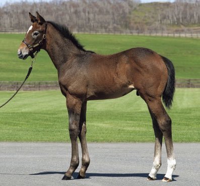 AngelLee0904's tweet photo. @lunarandsunny Baby Gaia Force and Mommy Wishing Well and Baby Sunday Silence. https://t.co/cm360EJOL7